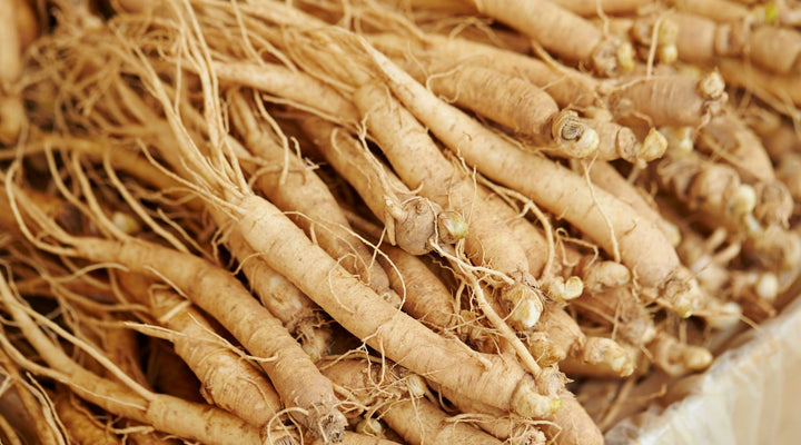 ginseng root in a bowl
