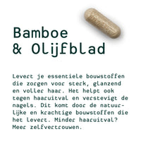 Bieke's persoonlijk 30-dagen plan (Bamboe & Olijfblad, Ginseng, Lactobacillus)