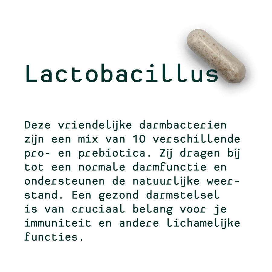 Nicole's personal 30-day plan (Lactobacillus, Transit, Digest)