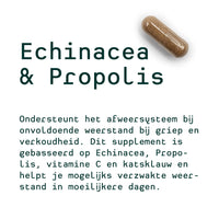 Femke's persoonlijk 30-dagen plan (Ginseng, Echinacea & Propolis, Lactobacillus)