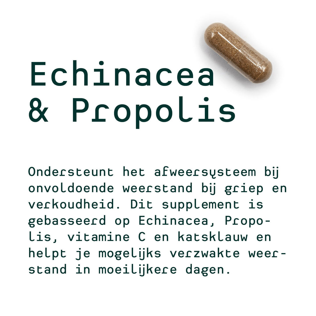 Taras persönlicher 30-Tage-Plan (Echinacea & Propolis, Lactobacillus, Multivit)